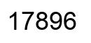 Number 17896 black image