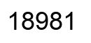 Number 18981 black image