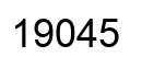 Number 19045 black image