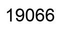 Number 19066 black image