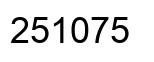 Number 251075 black image