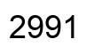 Number 2991 black image
