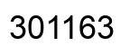 Número 301163 imagen negro
