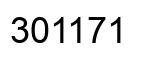 Número 301171 imagen negro