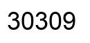 Number 30309 black image