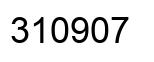 Number 310907 black image