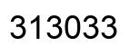 Number 313033 black image