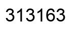 Number 313163 black image