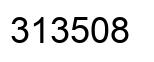 Number 313508 black image