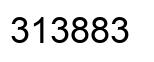 Number 313883 black image