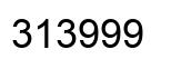 Number 313999 black image