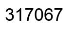 Number 317067 black image