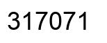Number 317071 black image