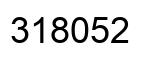 Number 318052 black image
