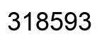 Number 318593 black image