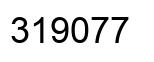 Number 319077 black image