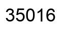 Número 35016 imagen negro