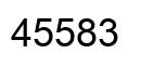 Number 45583 black image