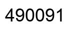 Number 490091 black image