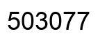 Number 503077 black image