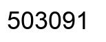 Number 503091 black image