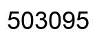Number 503095 black image