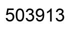 Number 503913 black image