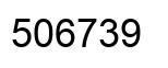 Number 506739 black image
