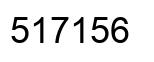 Number 517156 black image