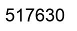 Number 517630 black image
