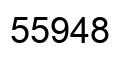 Número 55948 imagen negro