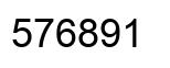 Number 576891 black image