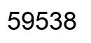 Number 59538 black image