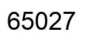Number 65027 black image