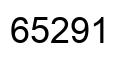 Number 65291 black image
