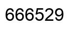 Number 666529 black image
