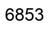 Number 6853 black image