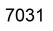 Number 7031 black image