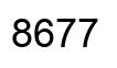 Number 8677 black image