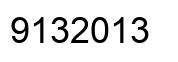 Number 9132013 black image