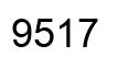 Number 9517 black image