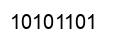 Number 10101101 black image