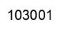 Number 103001 black image