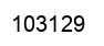Number 103129 black image