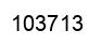 Number 103713 black image
