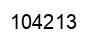 Number 104213 black image