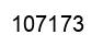 Number 107173 black image
