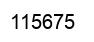Number 115675 black image