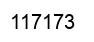 Número 117173 imagen negro