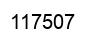 Number 117507 black image